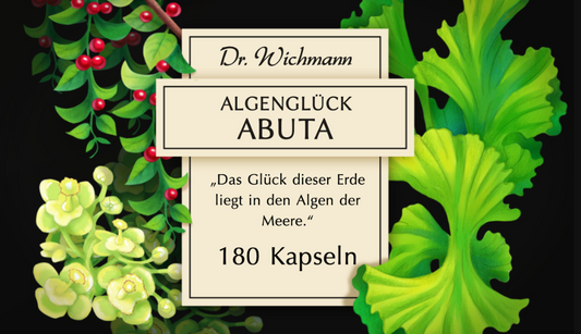 Algenglück Abuta